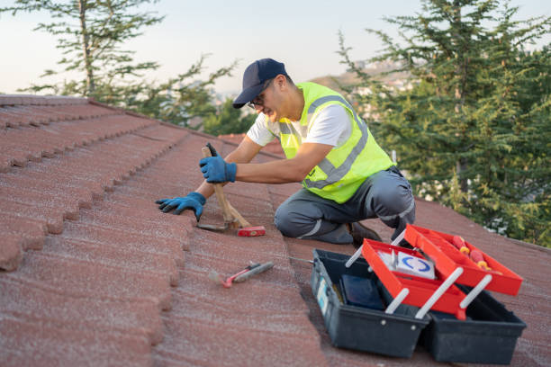 Best Local Roofing Companies  in Nescopeck, PA