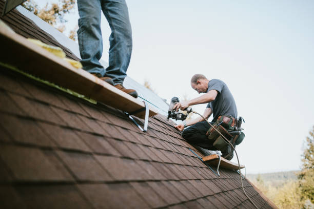 Best Metal Roofing Contractor  in Nescopeck, PA